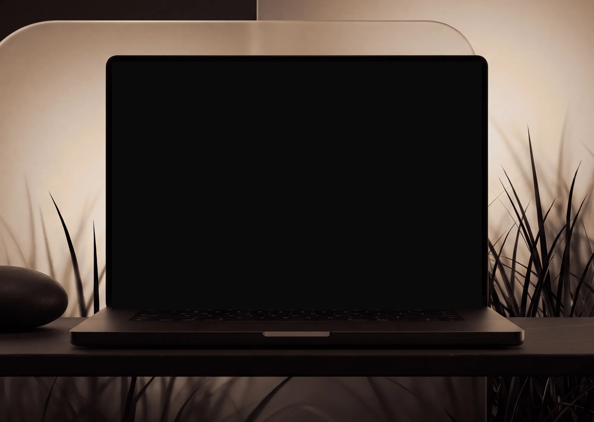 Laptop on dark stone in front of frosted glass and black grass at night