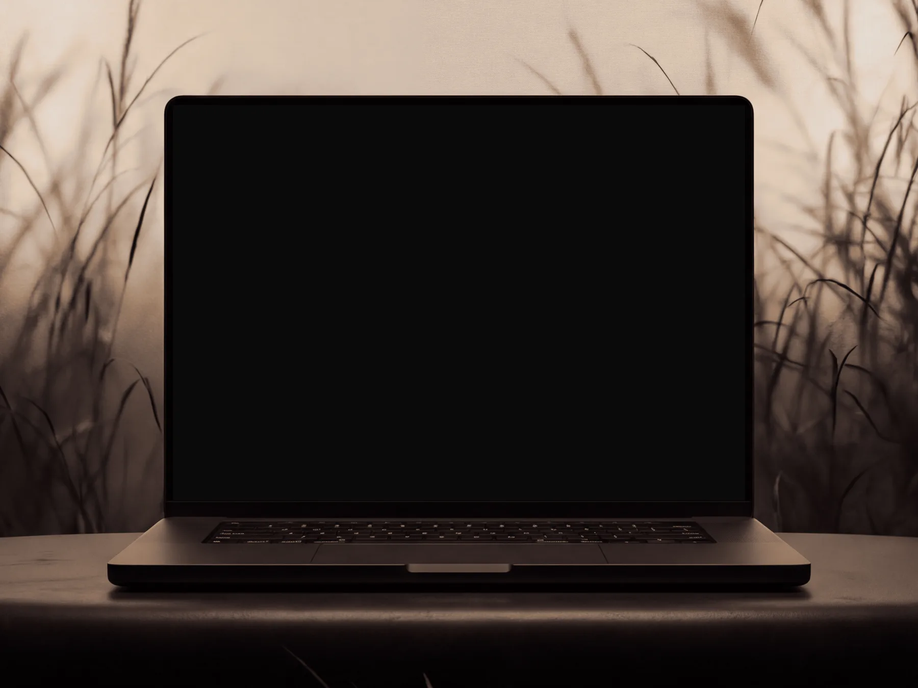 Laptop on dark stone in front of frosted glass and black grass at night