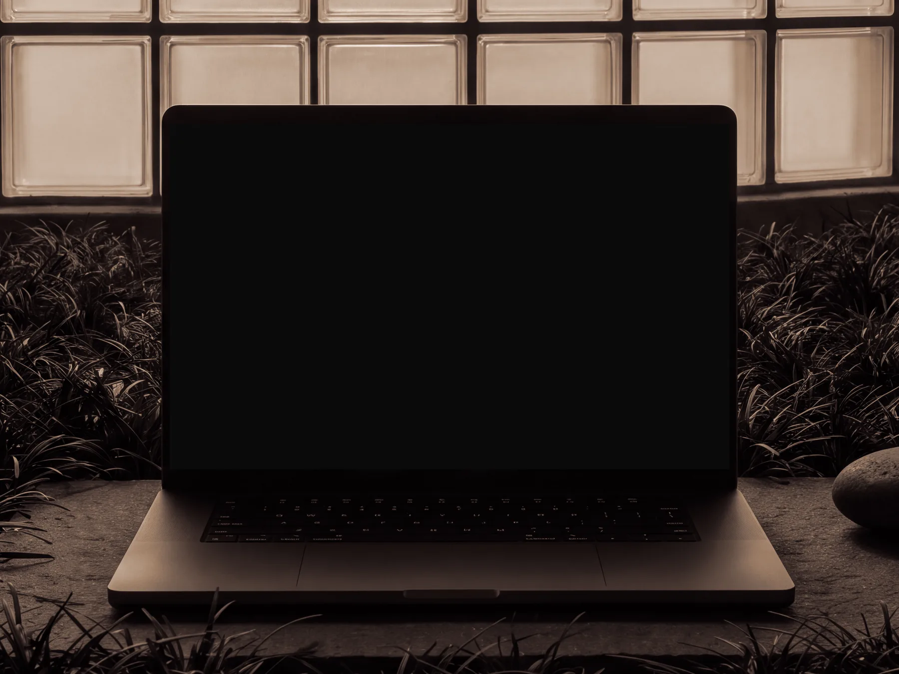 Laptop on dark stone in front of frosted glass and black grass at night