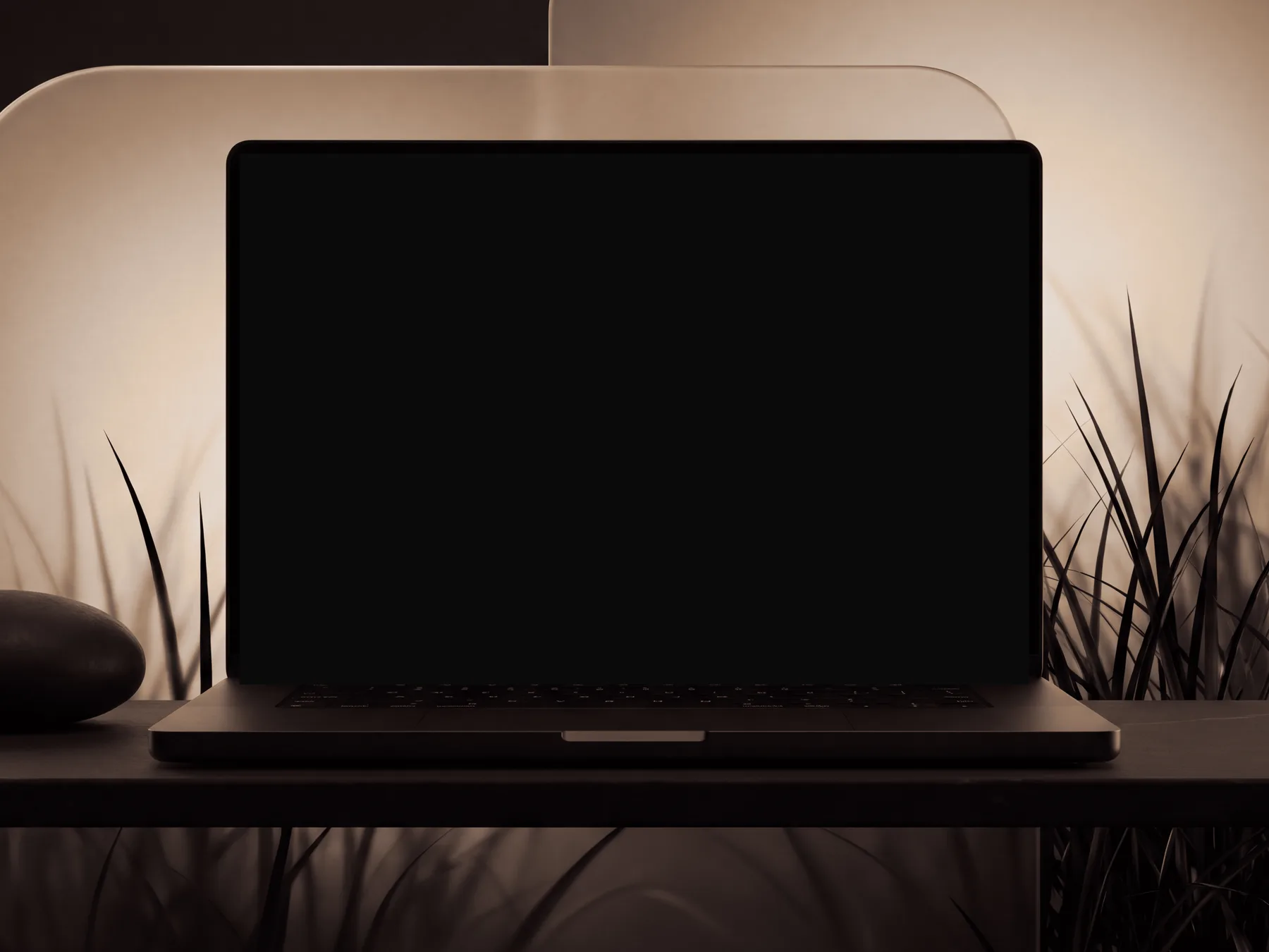 Laptop on dark stone in front of frosted glass and black grass at night